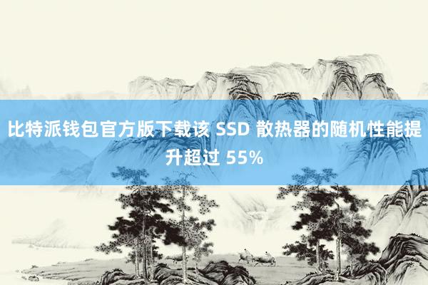 比特派钱包官方版下载该 SSD 散热器的随机性能提升超过 55%